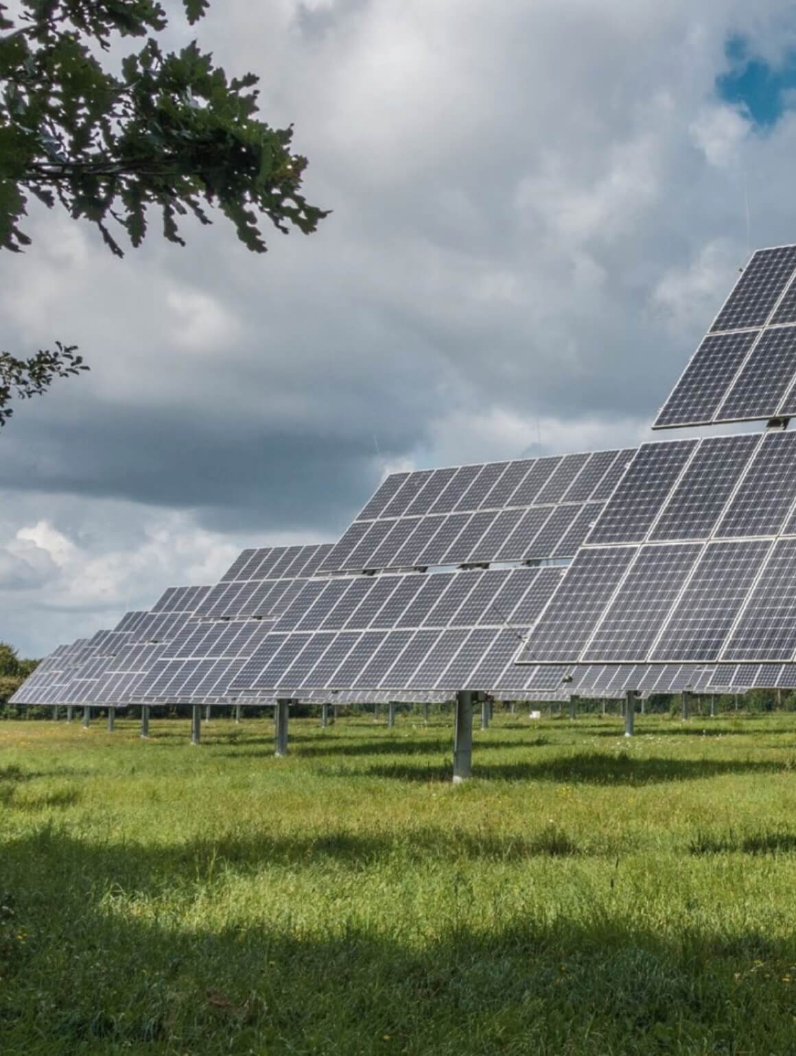 The Products Are Used In The Field Of New Energy2