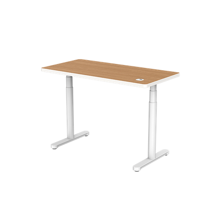 Standing Desk Simple Nature